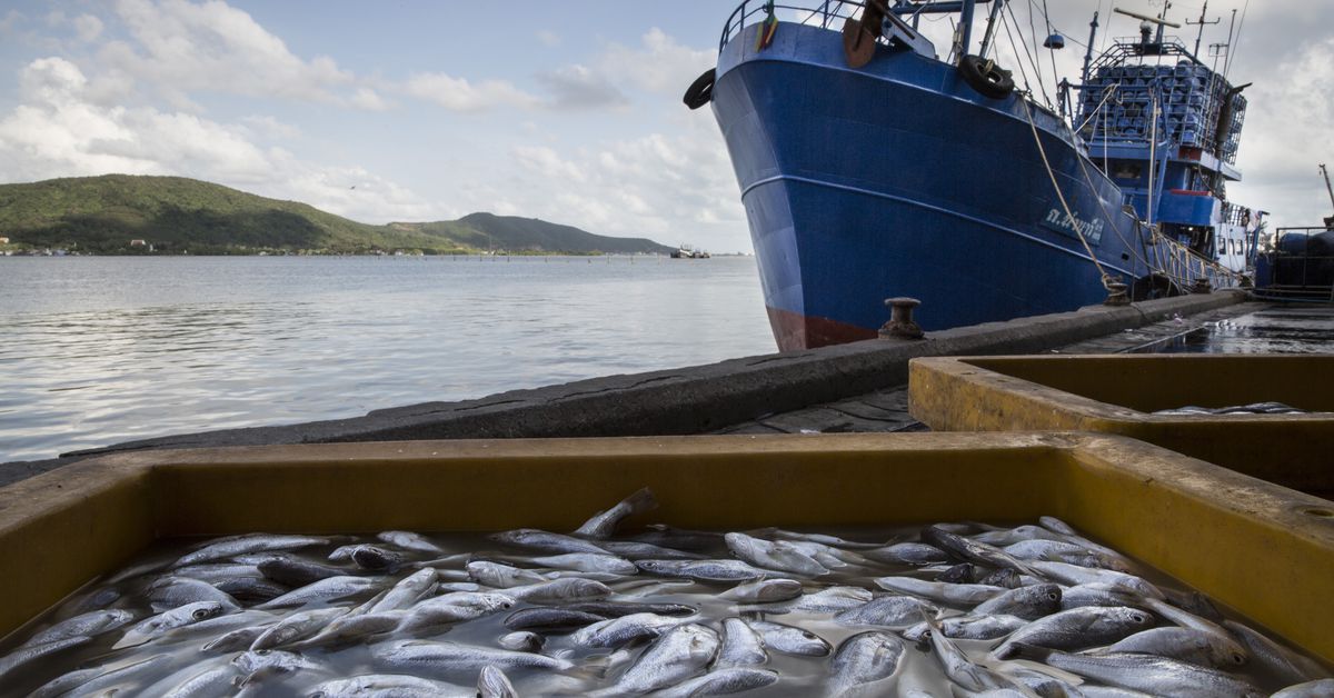 slavery-and-overfishing-on-the-high-seas-can’t-hide-from-these-researchers