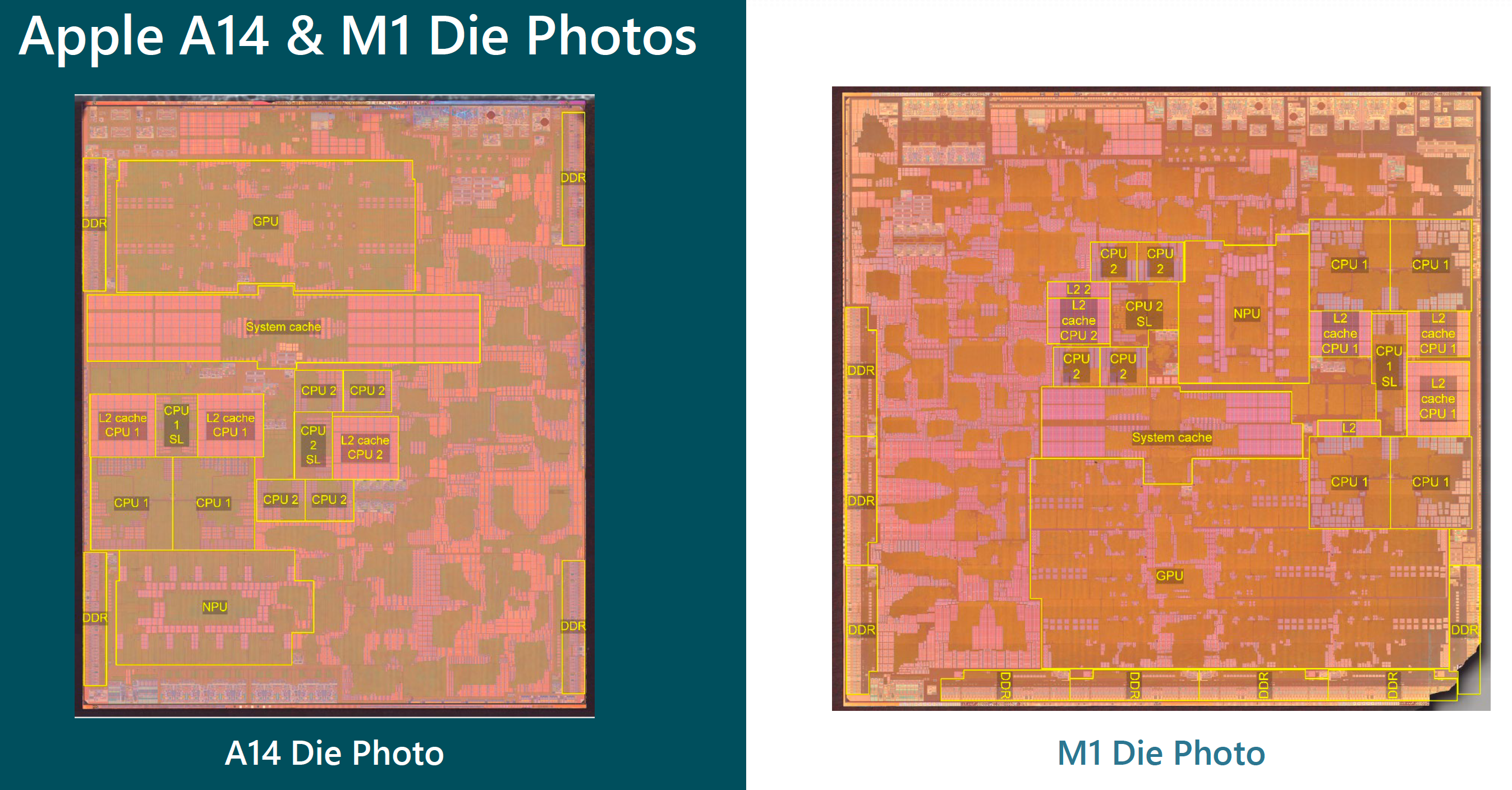 die-shots-of-apple’s-a14-bionic-&-m1-socs-compared:-same-architecture,-different-goals