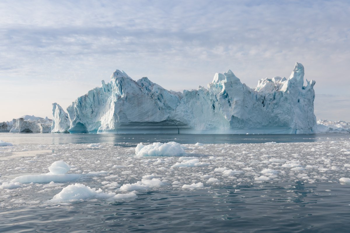 climate-change-could-make-antarctica-greener-and-force-species-extinction