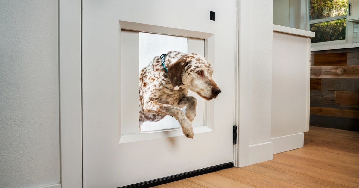 why-chamberlain-built-a-$3,000-automatic-garage-door-for-your-dog