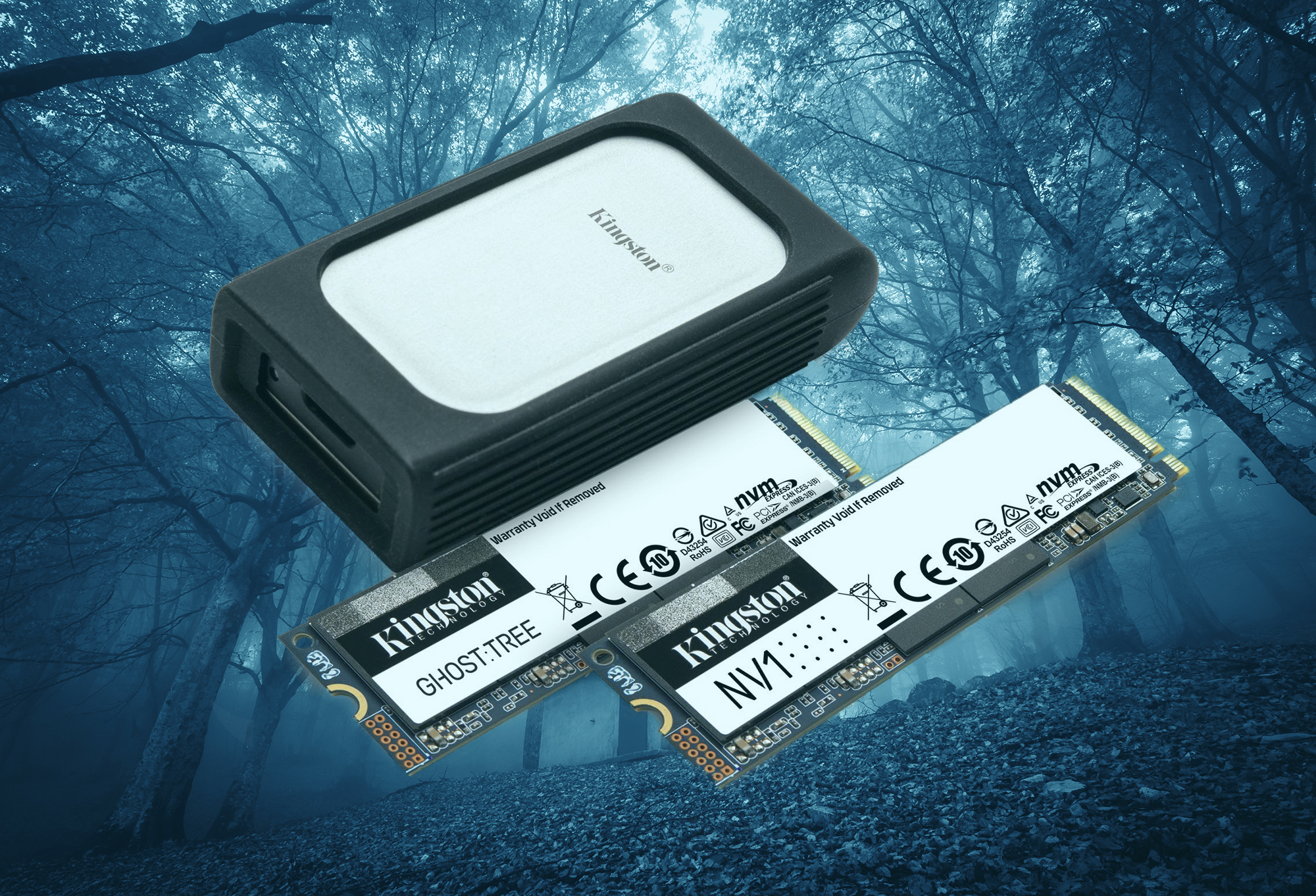 kingston-debut’s-pcie-4.0-‘ghost-tree’-nvme-ssds-up-to-4-tb