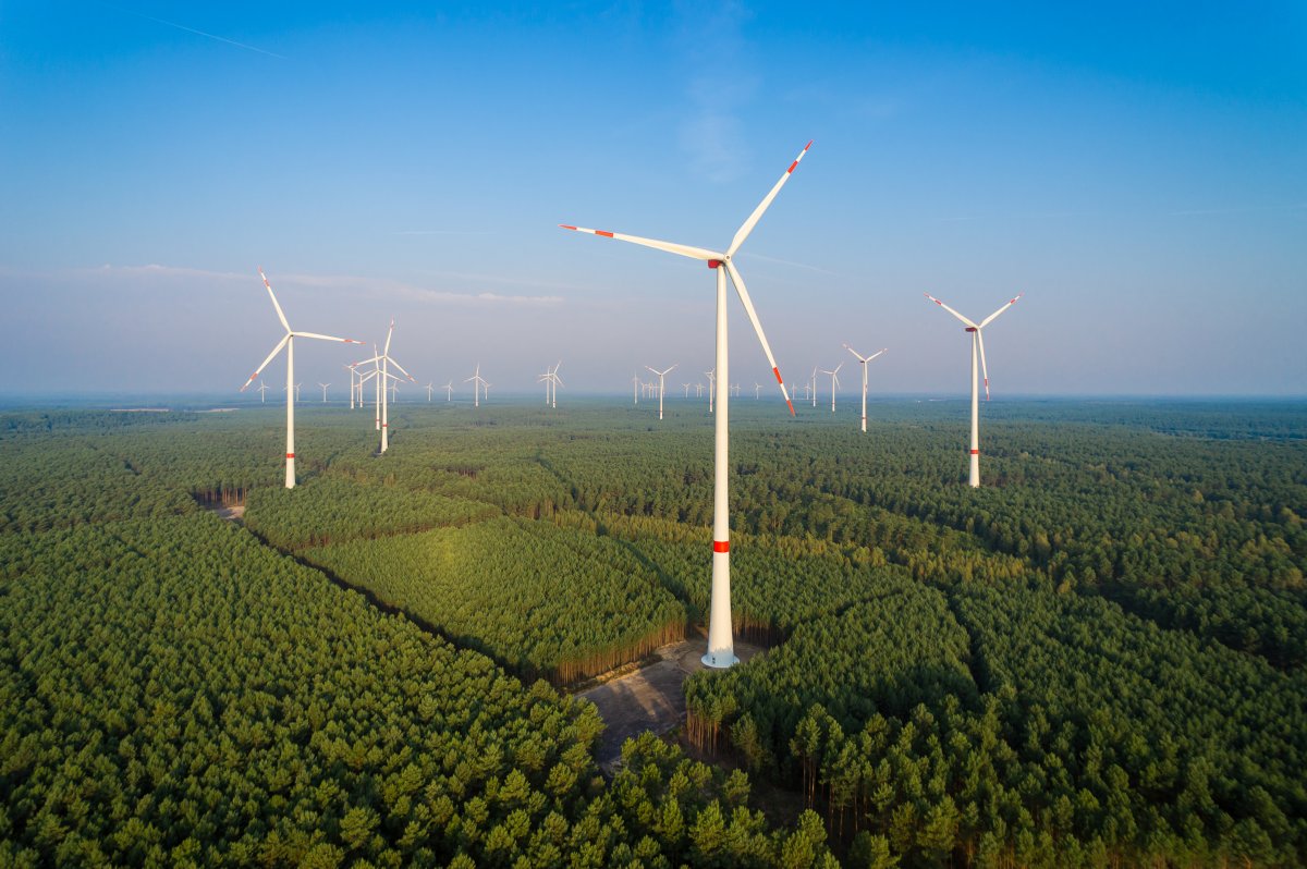 rhineland-palatinate:-new-association-wants-to-promote-renewable-energies