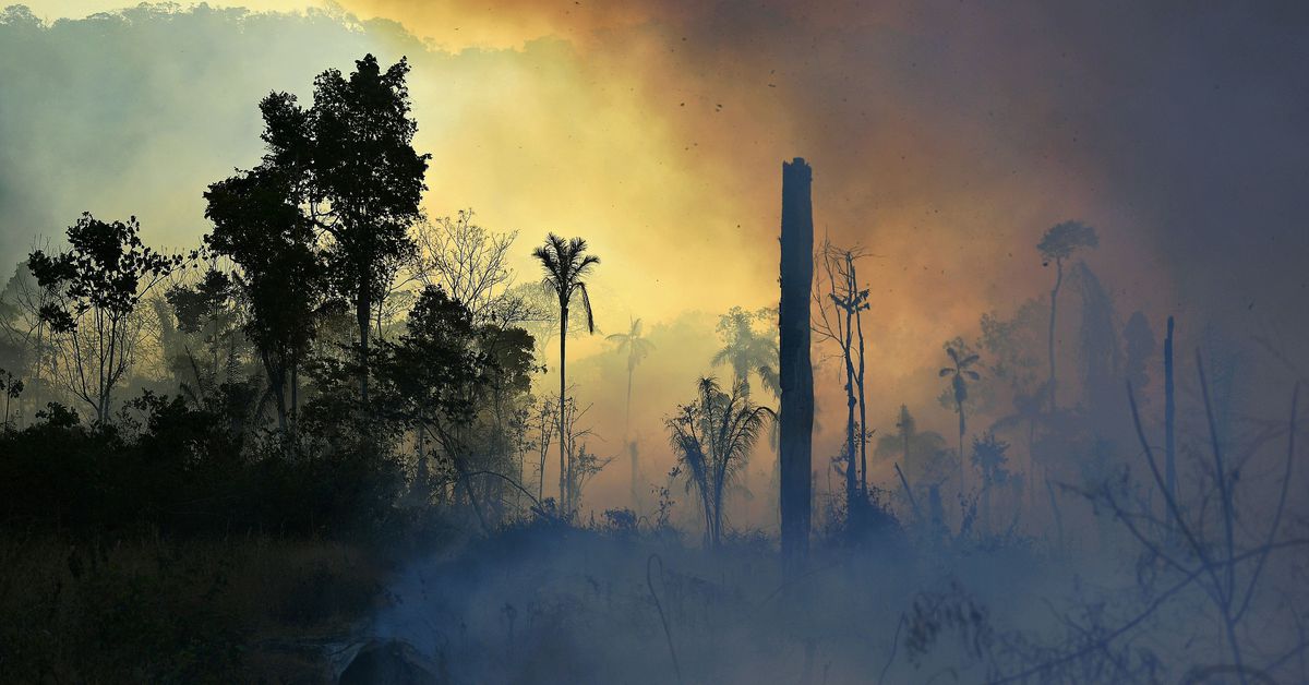 amazon-rainforest-fires-got-even-worse-last-year