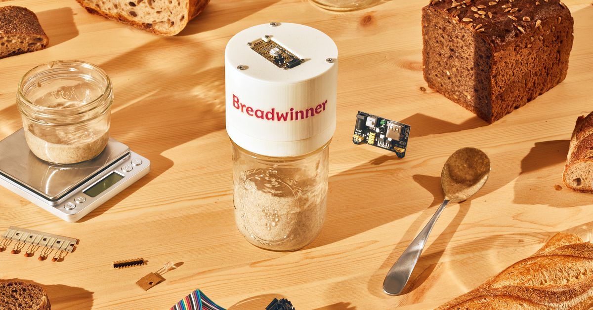 breadwinner-is-the-new-smart-sourdough-starter-tracker-of-my-dreams