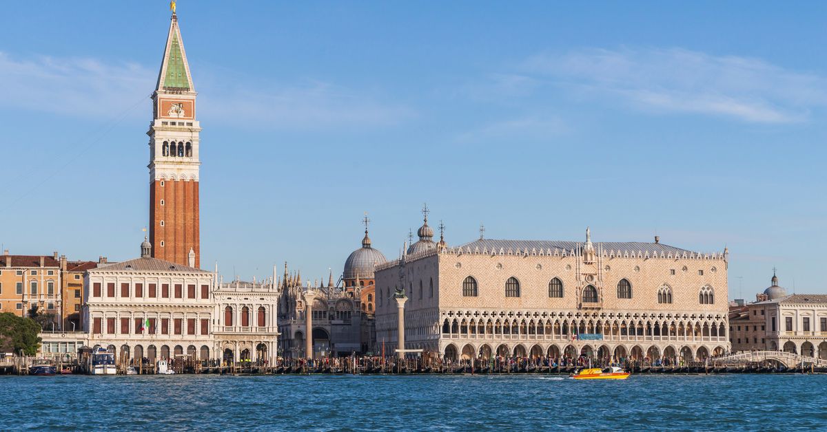 video-really-caught-dolphins-in-a-venice-canal-this-time