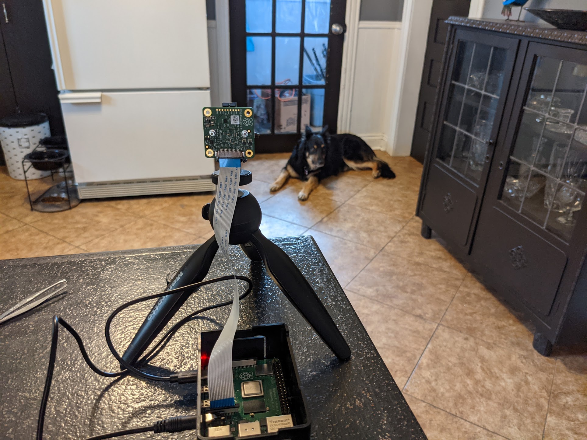 let-the-dogs-out!-how-to-make-a-raspberry-pi-pet-detector