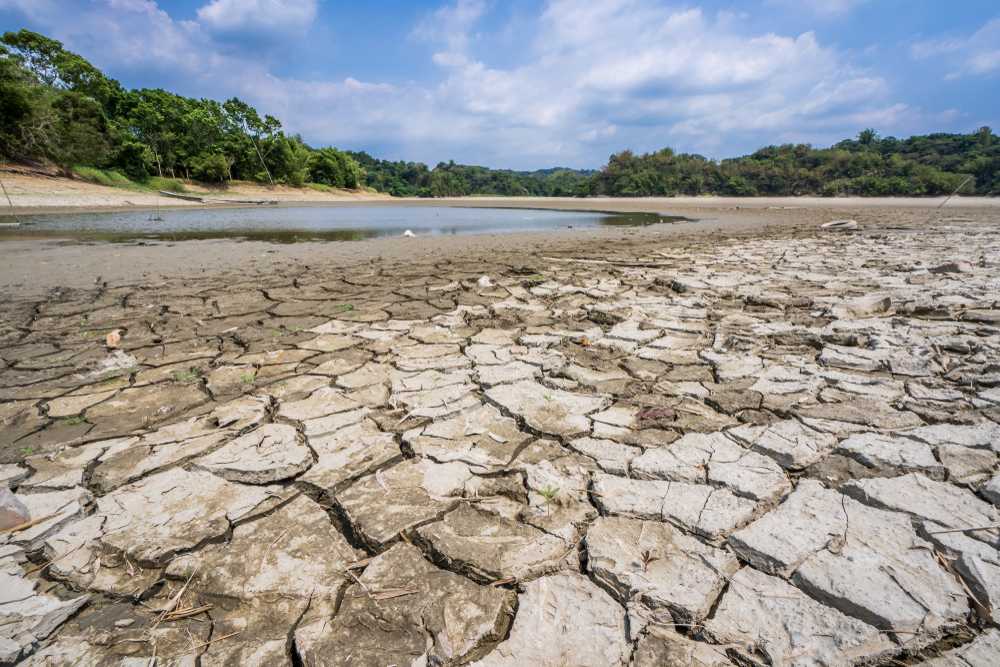 taiwan-diverts-water-from-farmers-to-chip-makers-amid-historic-drought