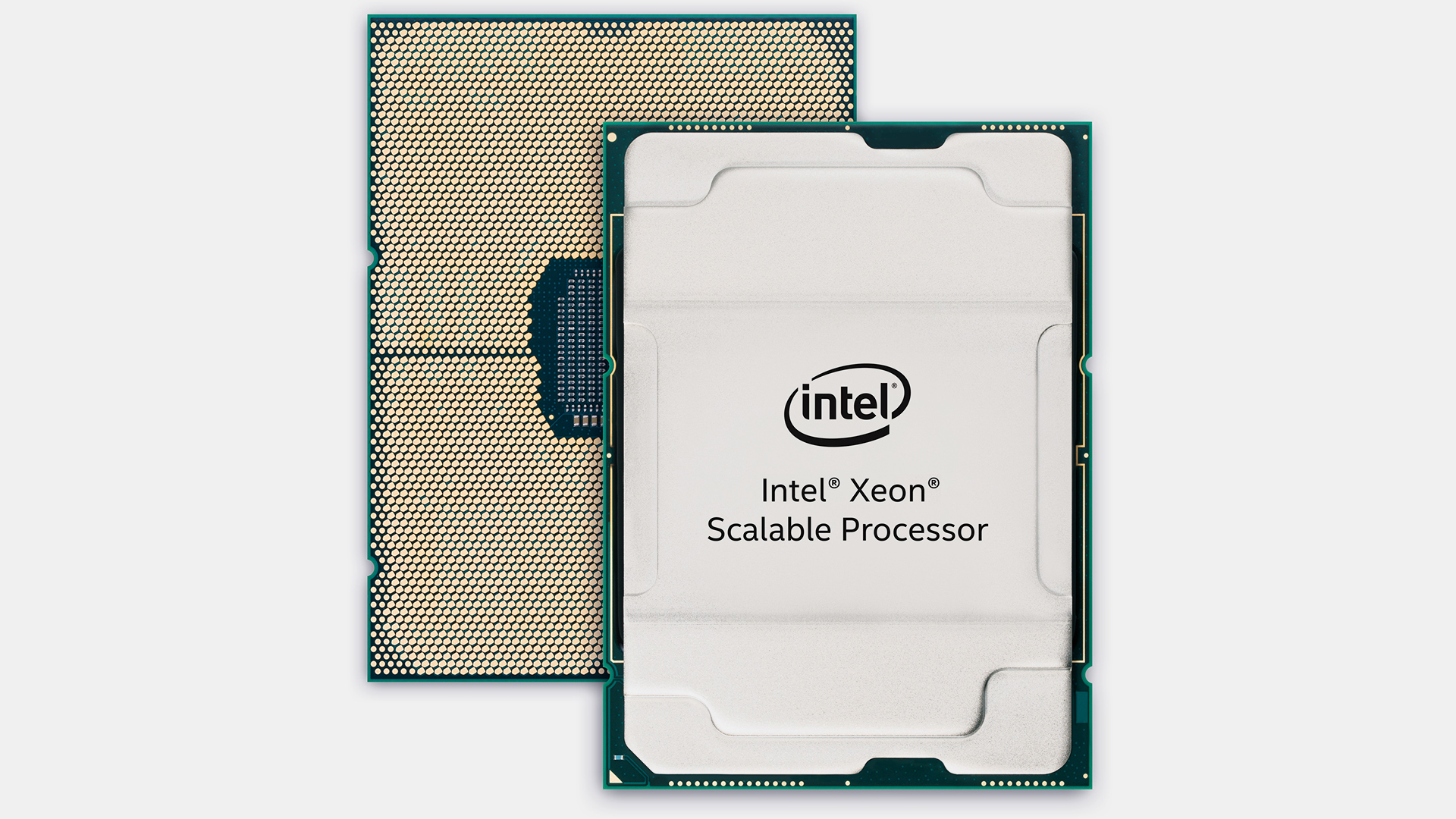 intel’s-sapphire-rapids-could-have-72-80-cores,-according-to-new-die-shots