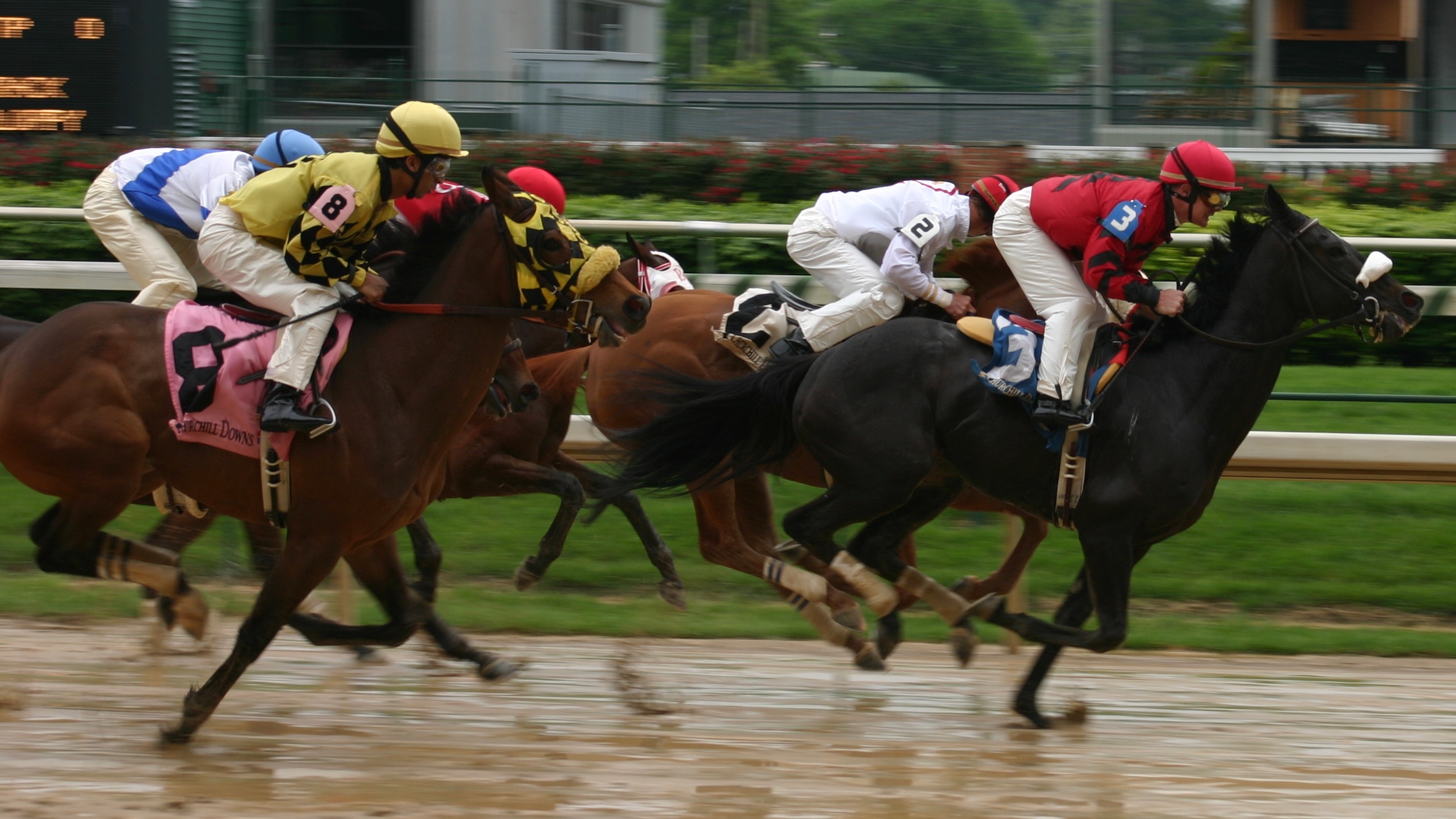 2021-preakness-stakes-live-stream:-how-to-watch,-start-time,-tv-channel,-odds,-horses