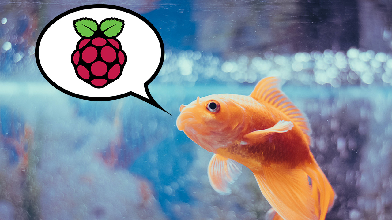 fish-discover-how-to-drive-raspberry-pi-powered-tank