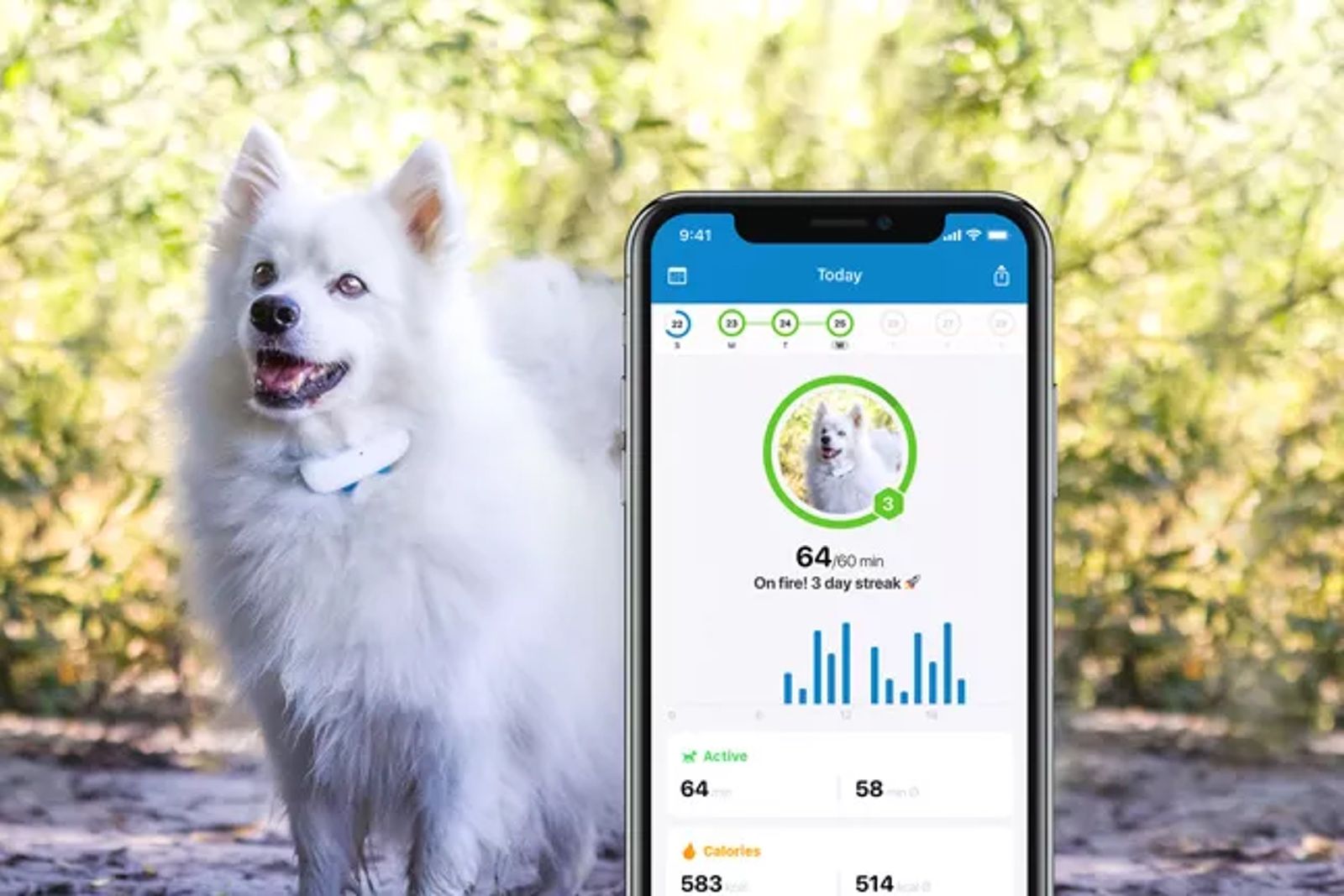 best-pet-trackers-2023:-wearables-and-cameras-for-animals