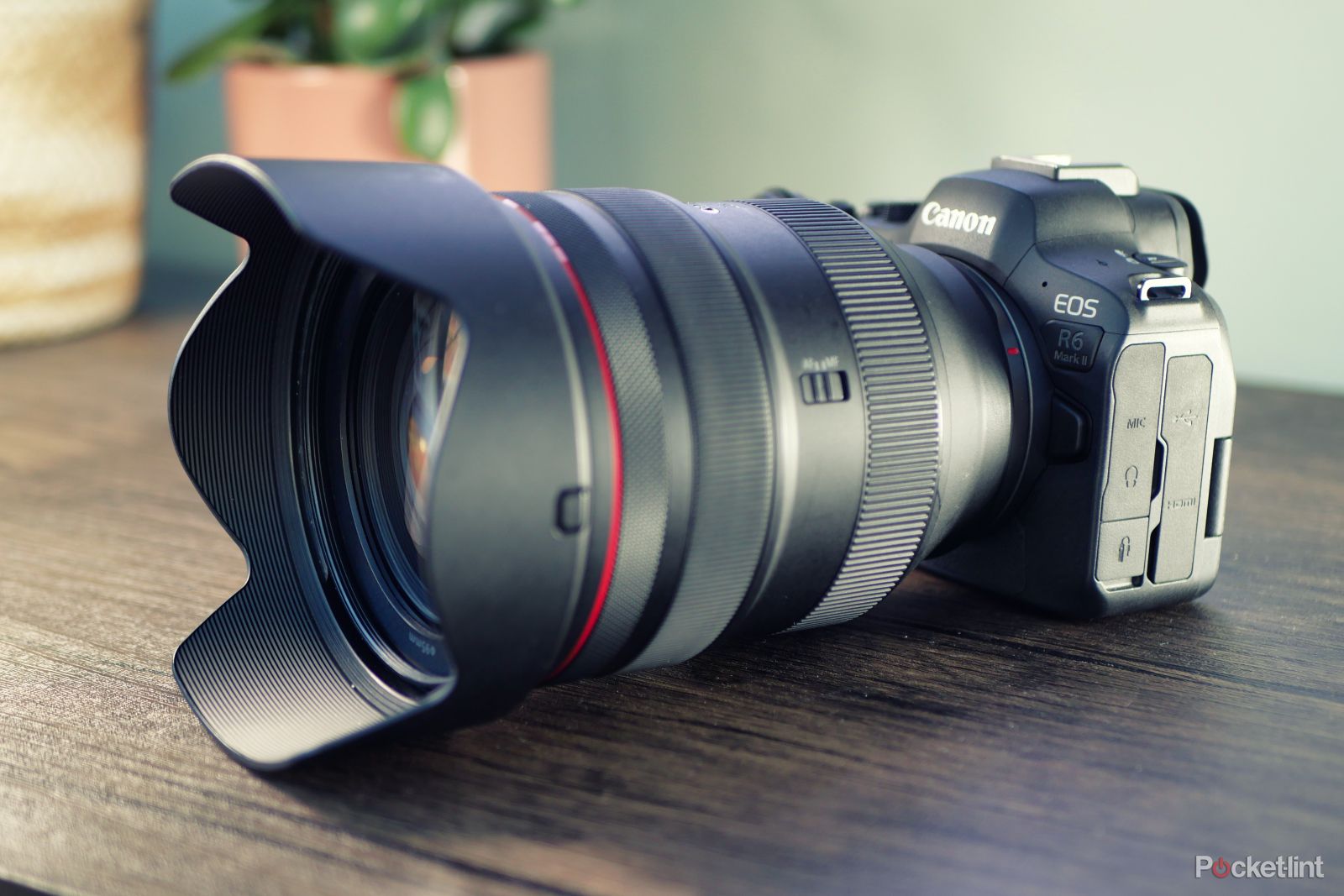 canon-eos-r6-mark-ii-review:-jack-of-all-trades