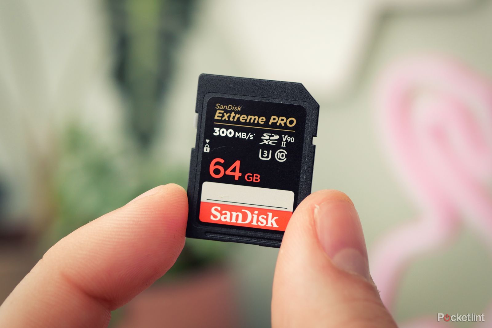 best-sd-cards:-top-storage-options-for-your-mirrorless-camera-or-dslr