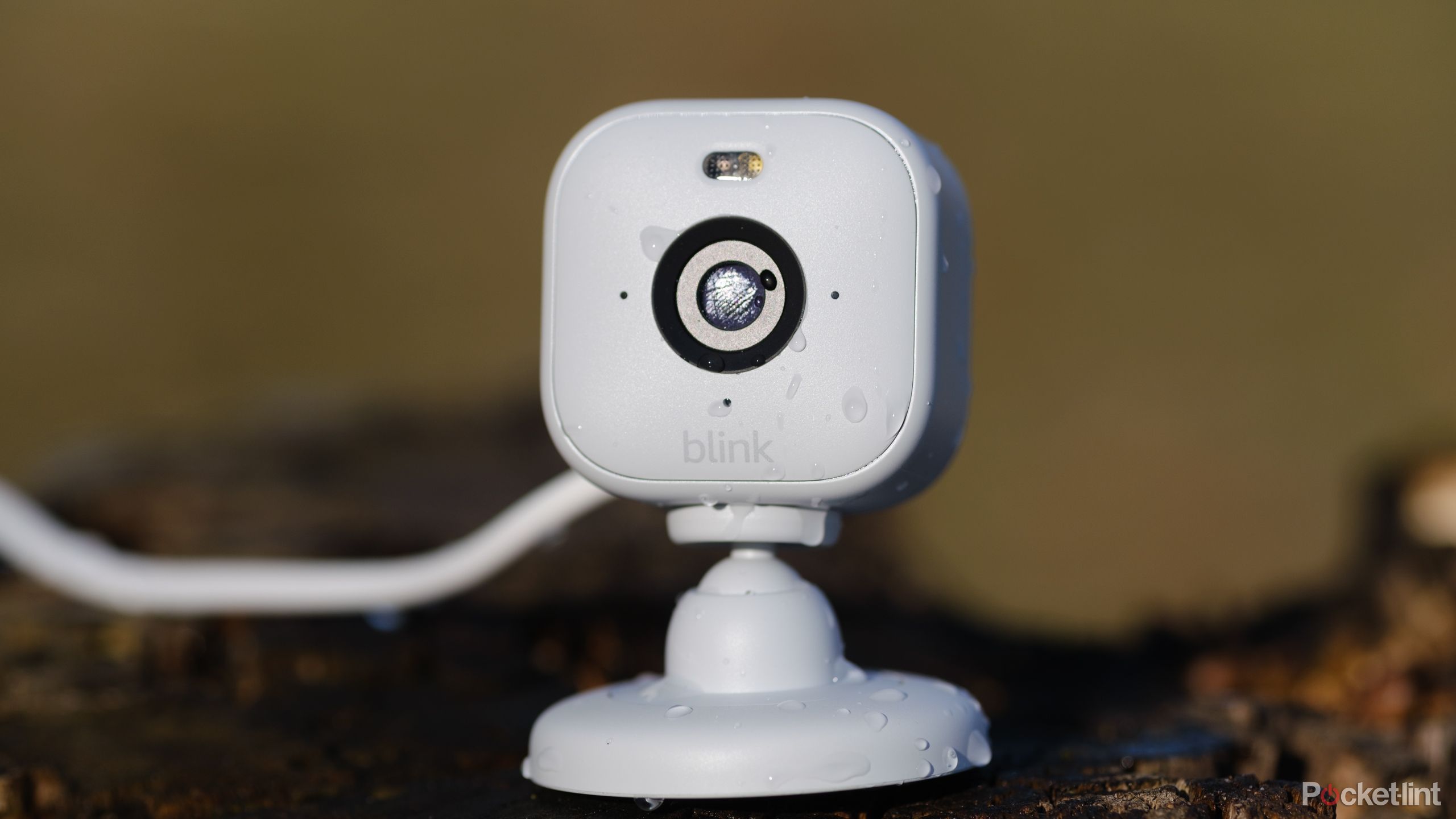 blink-mini-2-review:-a-safer-wyze-alternative