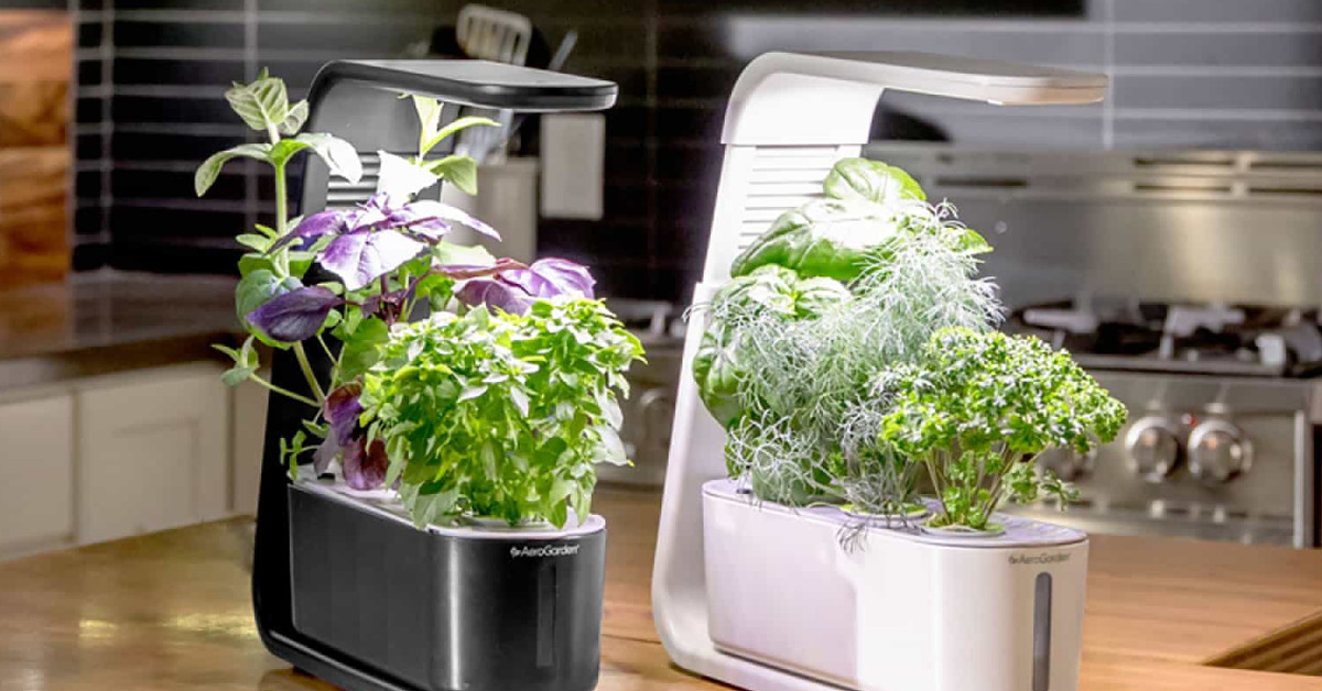 how-this-smart-garden-stopped-growing