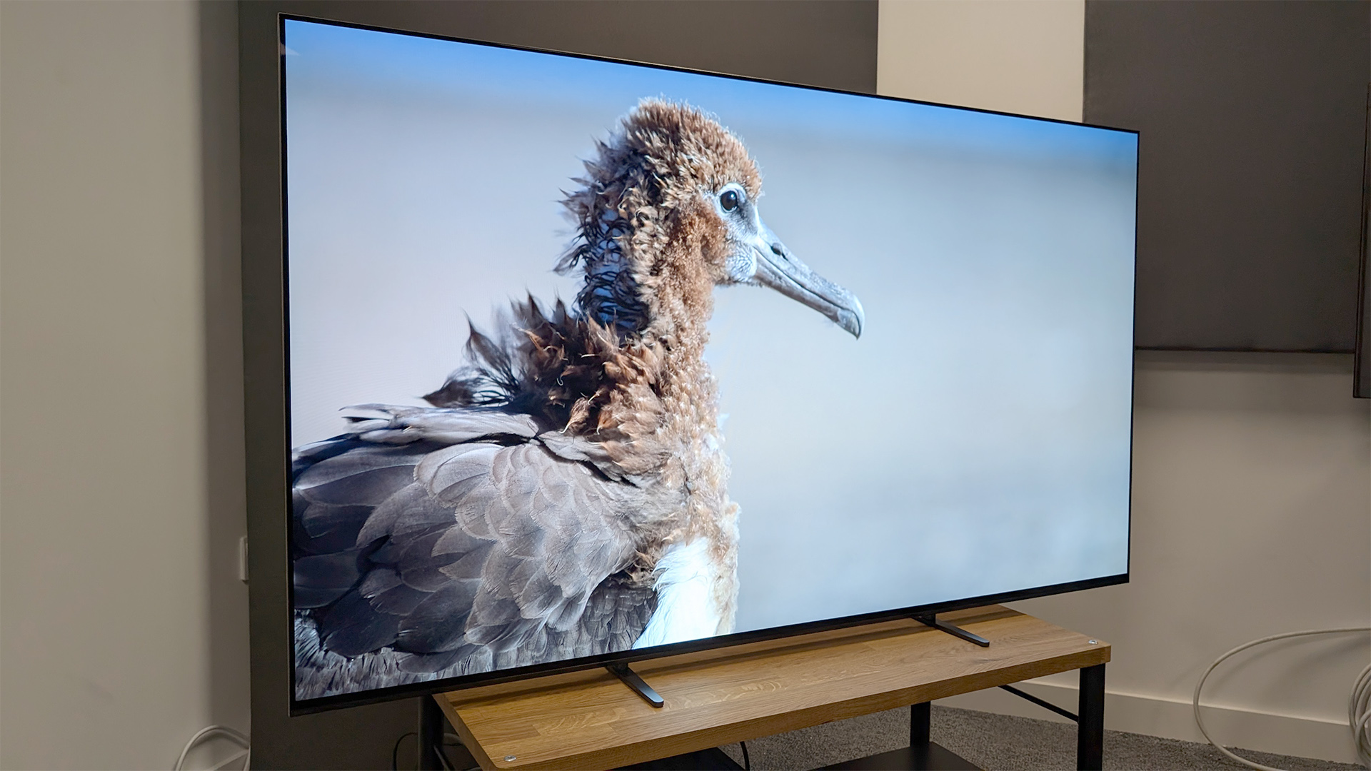 the-stunning-sony-bravia-8-award-winning-55-inch-oled-tv-plummets-to-its-lowest-ever-price