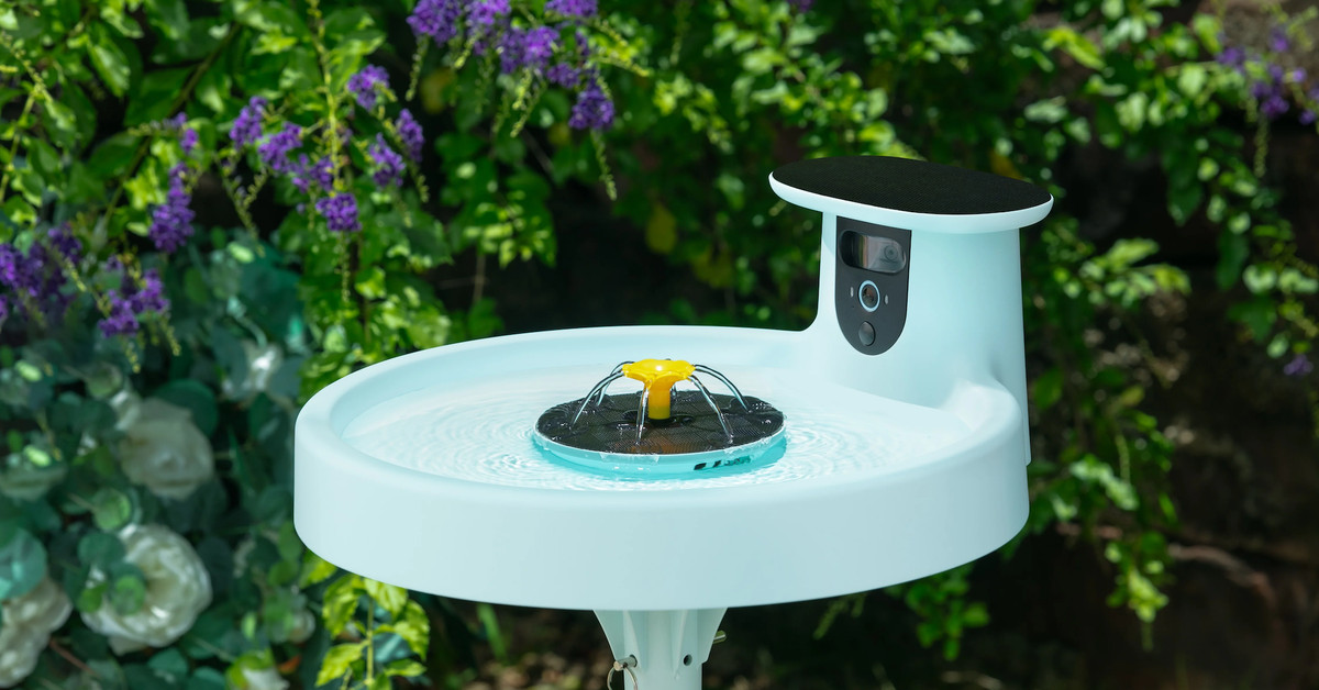 birdfy-bath-pro-is-a-voyeuristic-take-on-smart-bird-feeders