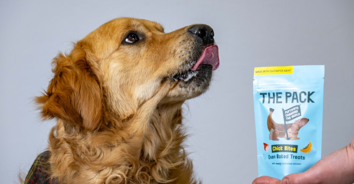 world’s-first-lab-grown-meat-for-pets-goes-on-sale